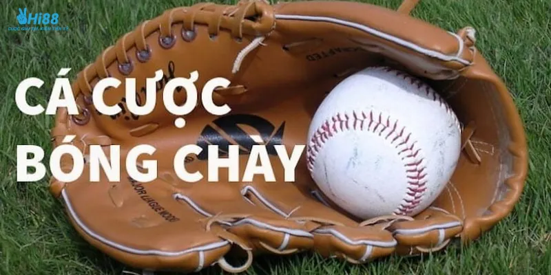 Thông tin nổi bật về cá cược bóng chày