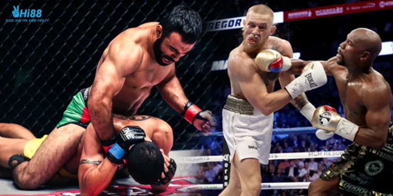 Cách đọc kèo cá cược quyền anh hiệu quả