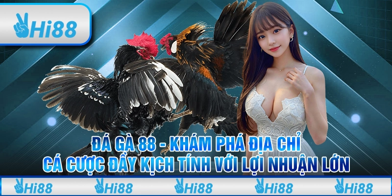 Đá Gà 888 - Khám Phá Địa Chỉ Cá Cược Đầy Kịch Tính Với Lợi Nhuận Lớn