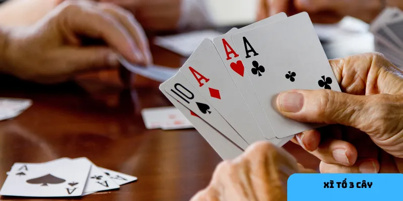 Quy trình chơi xì tố 3 cây gồm chia bài, đặt cược, và so bài.