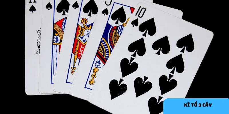 Xì tố 3 cây là trò chơi bài nhanh gọn và đầy chiến thuật.