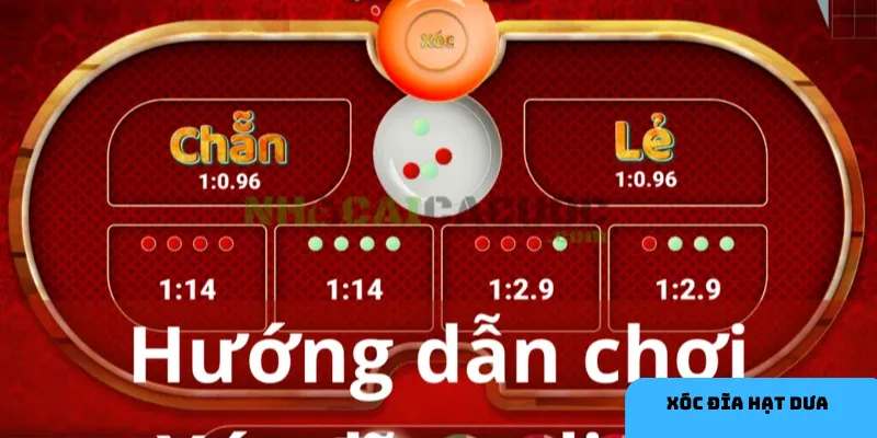 Quản lý vốn tốt giúp bạn duy trì cuộc chơi lâu dài và hiệu quả.