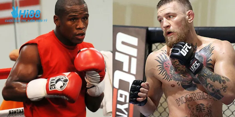 Chiến lược cá cược boxing để thu lợi nhanh