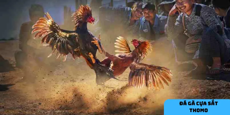 Sân chơi hấp dẫn cho giới trẻ