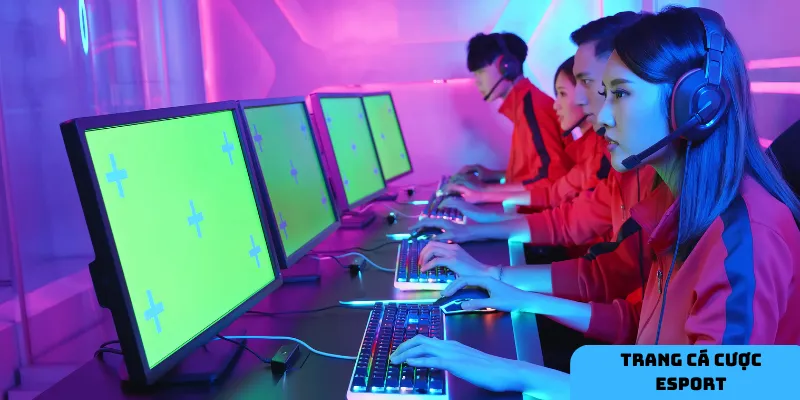 Giấy phép hoạt động hợp pháp.