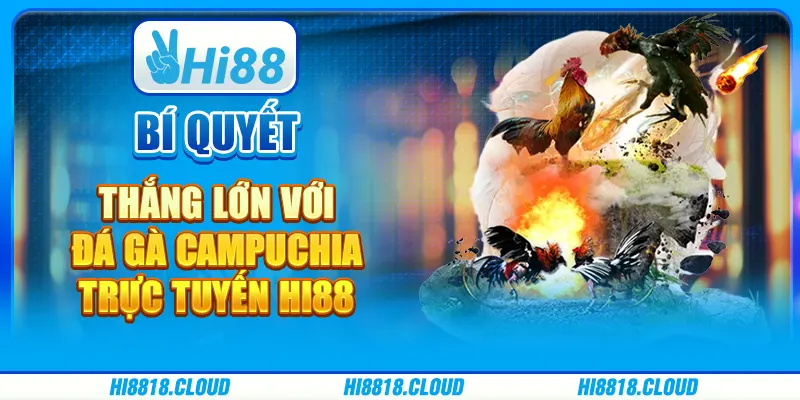 Bí Quyết Thắng Lớn Với Đá Gà Campuchia Trực Tuyến Hi88