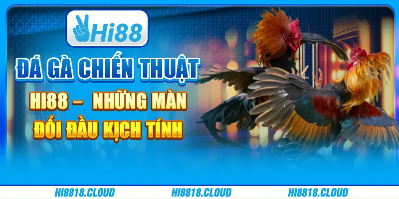 Đá Gà Chiến Thuật Hi88 – Những Màn Đối Đầu Kịch Tính