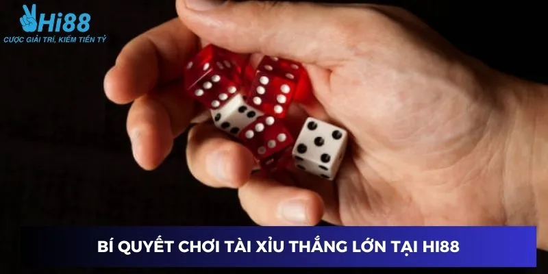 Chiến thuật hiệu quả để thắng lớn khi chơi tài xỉu