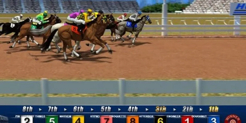 Các mẹo thắng đua ngựa giúp bạn thắng lớn