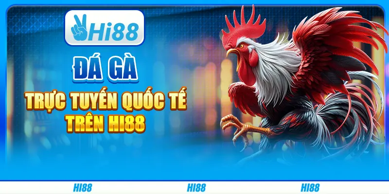 Đá Gà Trực Tuyến Quốc Tế Trên Nhà Cái Trực Tuyến Hi88