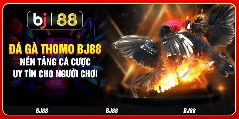 Đá Gà Thomo BJ88 - Nền Tảng Cá Cược Uy Tín Cho Người Chơi