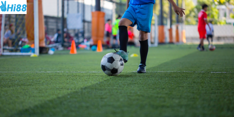 So sánh chiến thuật và đánh giá hiệu quả cá cược