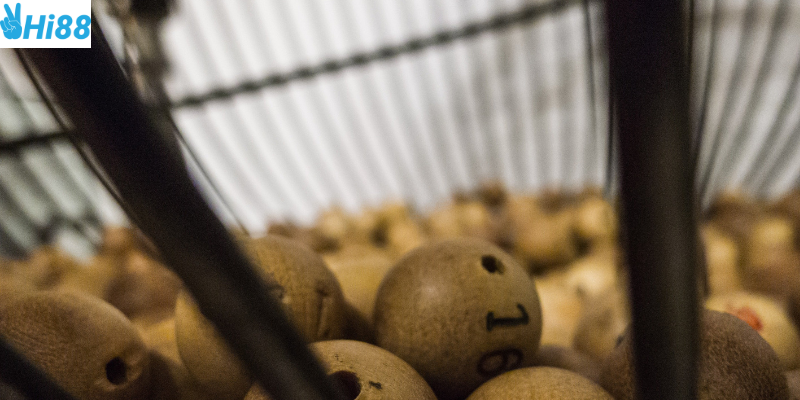 Tỷ lệ trúng cao và hỗ trợ tận tình