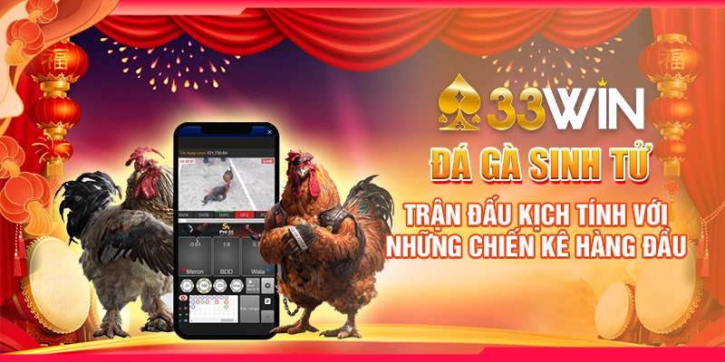 đá gà sinh tử